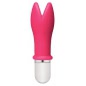 Vibrator Pop Whaam! 10 Function Roz