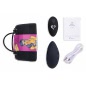 Vibrator Pentru Chiloti Cu Telecomanda Feelztoys Negru