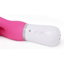 Lovense Nora Vibrator Roz