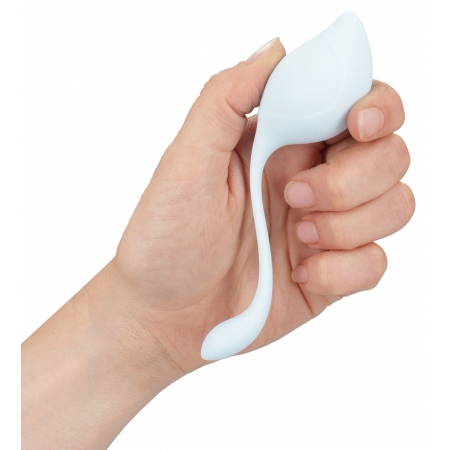 Loveline Pelvic Stem – Kit Kegel 5 Greutăți Discret Multicolor