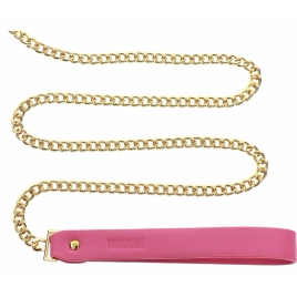 Collar and Leash Roz