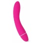 Intimina Raya Personal Massager Roz