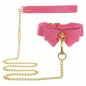 Collar and Leash Roz