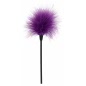 Pamatuf Feather Tickler Mov