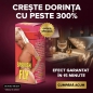 Afrodisiac Feminin Puternic Spanish Fly Mov 15ml