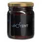 Borcan Miere UPotent 230g