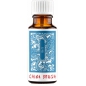 China Brush XL - 50ml