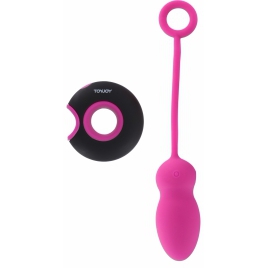 Ou Control La Distanta Reincarcabil Silicon