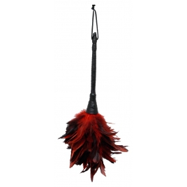 Frisky Feather Duster