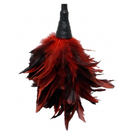Frisky Feather Duster Roșu