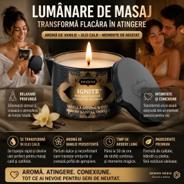 Lumânare Masaj Kama Sutra Vanilla 170g
