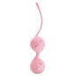 Bile Vaginale Pretty Love Kegel Roz
