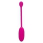 Kegel Ball Advanced Roz