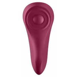 Satisfyer Secret Panty Mov