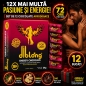 Set 12 x Ciocolată Afrodisiacă Pentru Femei 24g