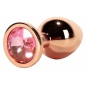 X-MEN Anal Plug Secret Shade Metal L Roz